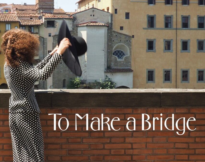 Review: To Make a Bridge, Antonia Facciponte