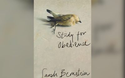 Review: Sarah Bernstein’s Study for Obedience